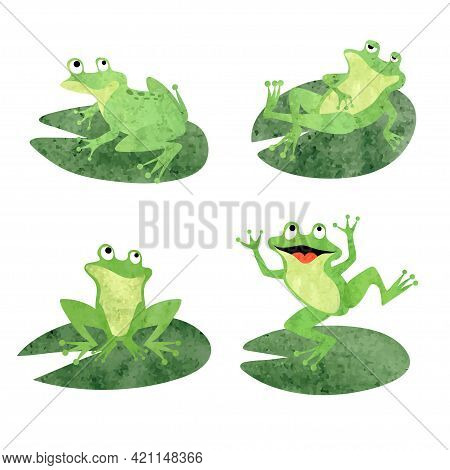 Cartoon Frogs Sitting On Lily Pads. Vector Green Toads Illustration.