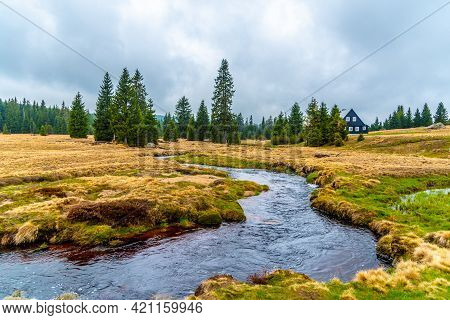Mountain Grassland Landscape With Jizerka River, Jizera Mountains, Czech Republic.