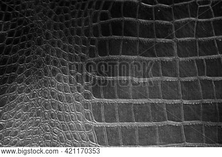 Alligator Skin. Crocodile Skin. Real Alligator Skin. Fake Alligator Skin. Crocodile black and white.