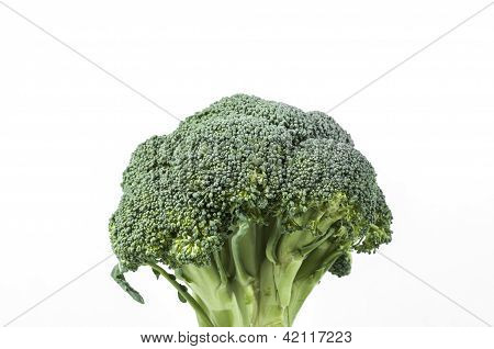 Brocolli