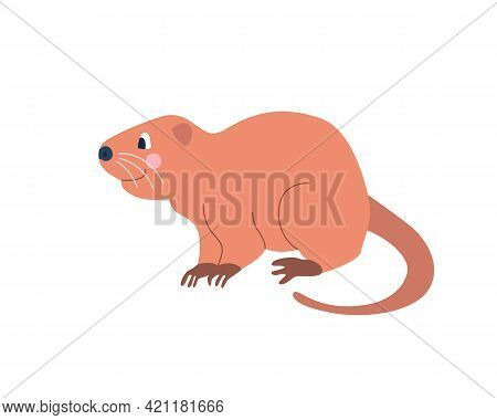 Cute Funny Nutria On A White Background. Vector Image In Cartoon Flat Style. Decor For Childrens Pos