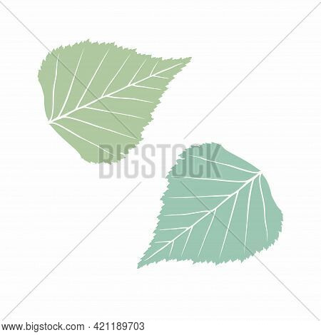 Graceful Green Leaves. Flat Twig. Vector Isolated Element. Garden Plant. Icon. Summer Or Spring Desi