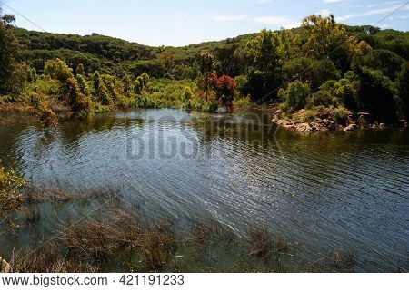 View Of Baratz Lake, The Only Natural In Sardinia