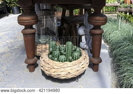 Wicker Basket With Ceramic Green Cactus Figurines Under The Table. Planter With Festuca Gautieri Ami