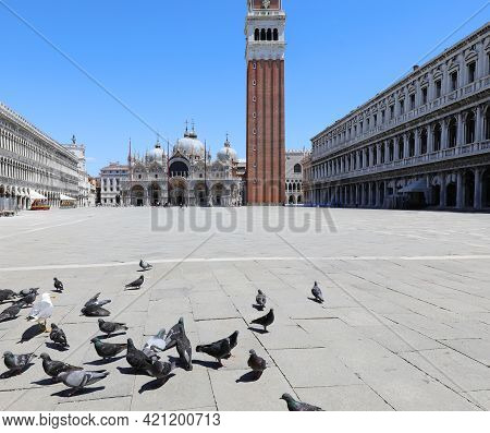 Venice In Italy  During The Lockdown With Very Few People And The Pigeons Eating The Crumbs In The S