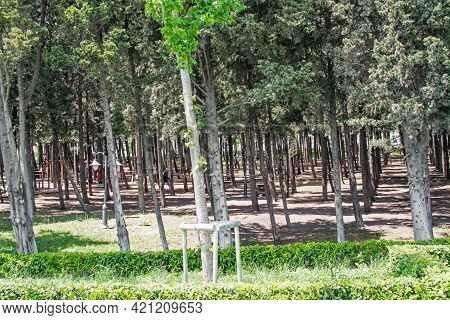 Halkali,istanbul,turkey- May 20,2021.spring View From Halkali Public Park With Its Nature,green Area