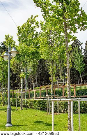Halkali,istanbul,turkey- May 20,2021.spring View From Halkali Public Park With Its Nature,green Area