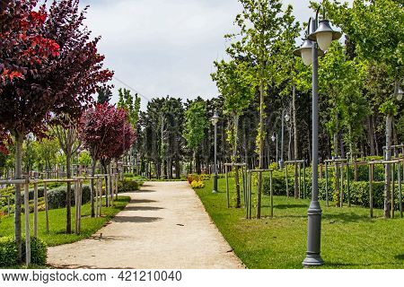 Halkali,istanbul,turkey- May 20,2021.spring View From Halkali Public Park With Its Nature,green Area