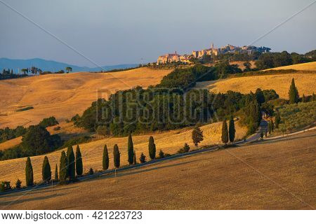 Cipressi di Monticchielo, Typical Tuscan landscape near Montepulciano, Italy