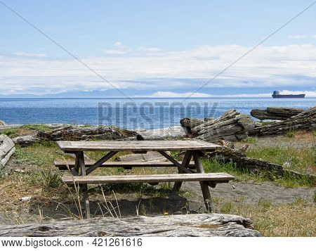 Driftwood Beach