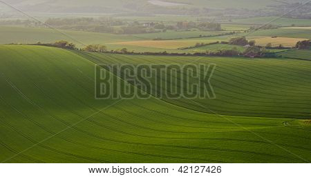 Detail Of Rolling Hills In Beautiful Landscape