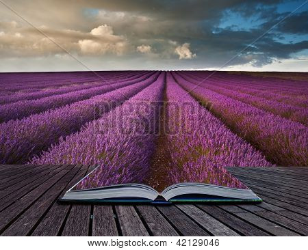 Creative Concept Image Of Lavender  Landscape In Pages Of Book