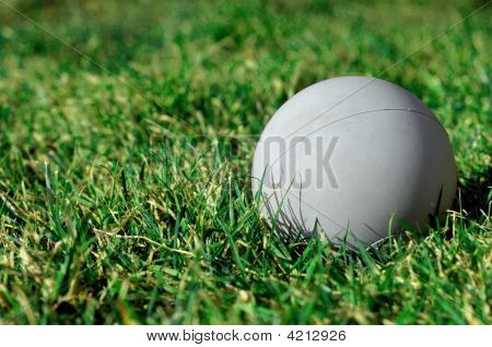Lacrosse palla sull'erba