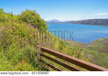 Beautiful  Summer Landscape. Montenegro, Ulcinj, View Of Shas Lake