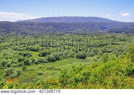 Beautiful Green Sunny Summer Landscape. Montenegro, Ulcinj. View Of The Surroundings Of Lake Shas We