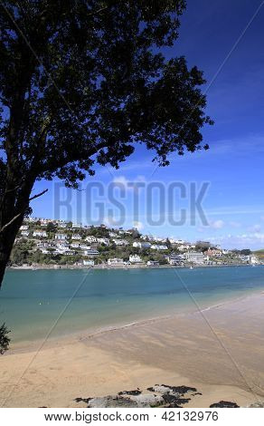 Tree Over The Beach On The Shore At Salcombe