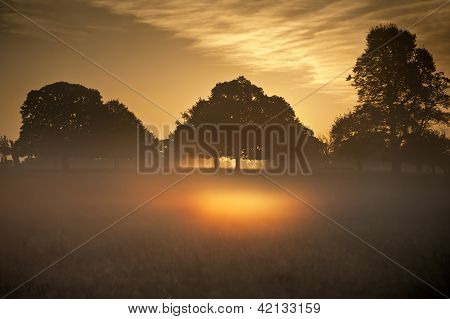 A fényes napsugarak Sunrise táj ragyogó köd
