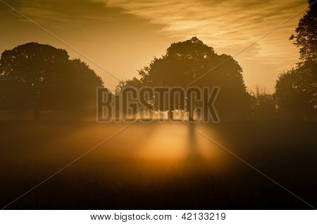 A fényes napsugarak Sunrise táj ragyogó köd
