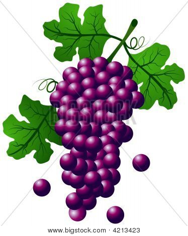 Raisins
