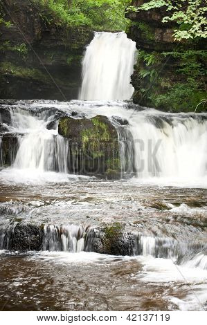สวยงามป่าลำธารและน้ำตกในฤดูร้อน