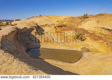 Desert Pothole On A Coloful Sandstone Ridge In El Malpais National Monument In New Mexico