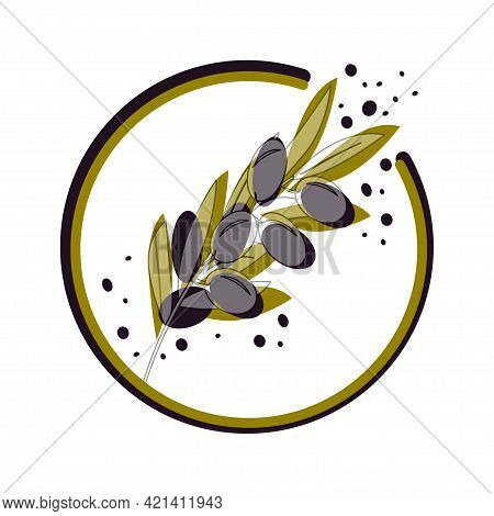 Olive Tree Branches With Dark Olives, Decorative Round Frame. Vector Illustrations In Trendy Colors 