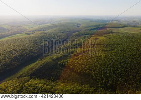 Aerial View Of Forest In Usa At Sunrise. Drone Shot Flying Over Forest And Green Land, Drone Flying 