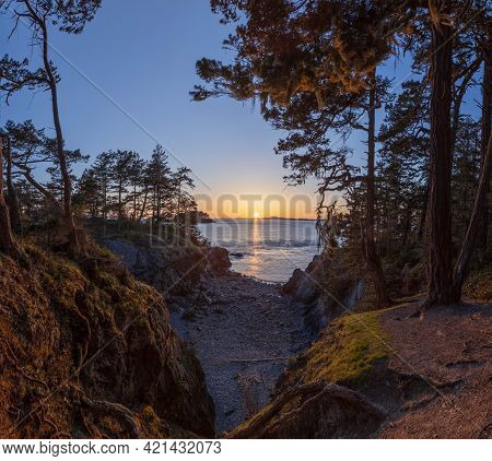 A Sunset Over The Ocean Viewed For A Forested Cove With Tress On Both Sides Of The Image From Anacor