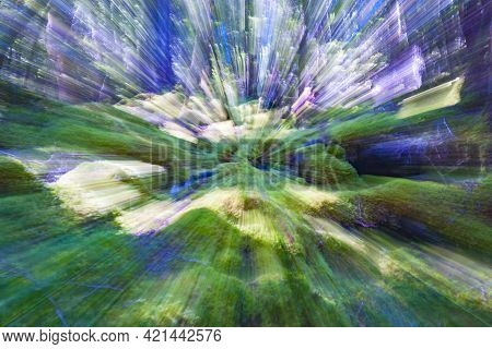 Abstract Effect Of Colors And Zoom Blur Shadows Deep In Rainforest On Mossy Forest Floor In New Zeal