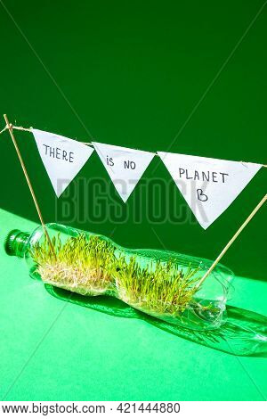 There Is No Planet B Young Green Plants In Plastic Bottle. Ecology And Environmental Conversation. E