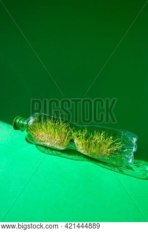 Young Green Plants In Plastic Bottle. Ecology And Environmental Conversation. Earth Day Concept. Glo