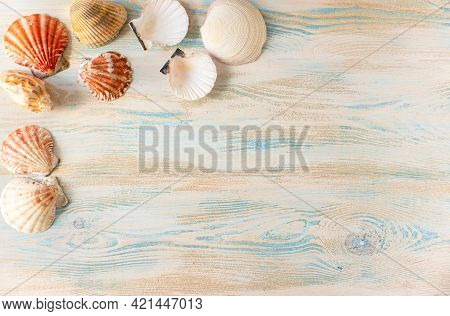 Summer Background. Seashells On A Rustic Background. Place For Textbackground. Place For Text