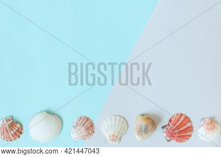 Summer Background. Seashells On A Minimal Gray-blue Background. Place For Text