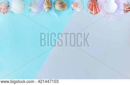 Summer Background. Seashells On A Minimal Gray-blue Background. Place For Text
