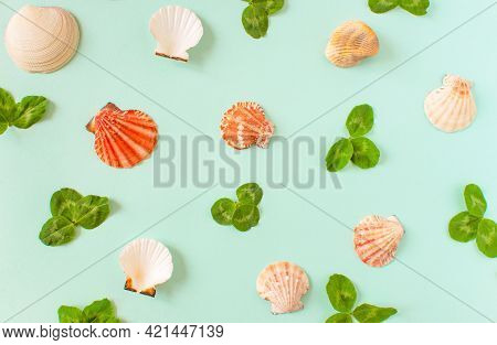 Summer Background. Seashells And Green Leaves Of Clover On A Minimal Blue Background. Place For Your