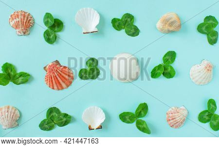 Summer Background. Seashells And Green Leaves Of Clover On A Minimal Blue Background. Place For Your