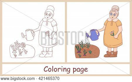 Cute Female Character. Grandmother With A Watering Can Watering A Flower In The Vegetable Garden. Li