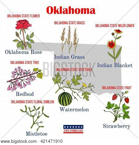 Oklahoma. Set Of Usa Official State Symbols. Vector Hand Drawn Illustration