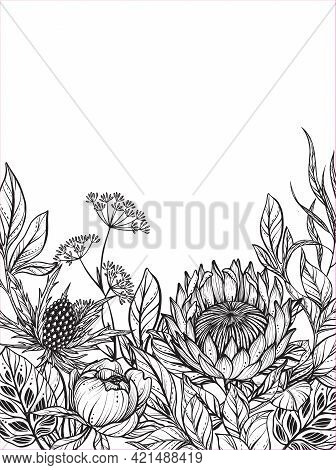 Beautiful Vector Frame With Black And White Feverweed, Protea, Peony Flowers And Leaves.