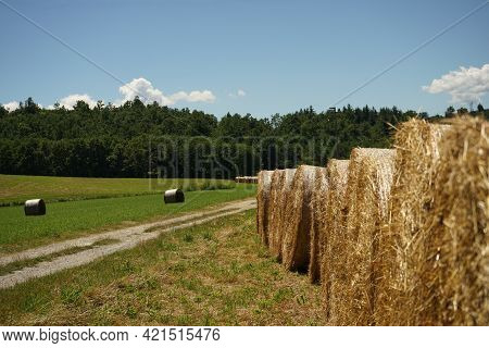 Some Bales Of Hay In The Nature Reserve Of The Sources Of Belbo Near Camerana, Piedmont - Italy