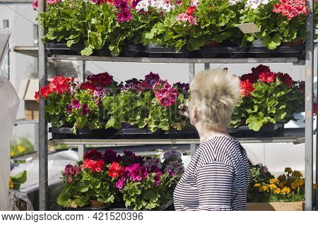 A Woman Picking Plants In Pots On A Street Sale, Sunny Day Shot