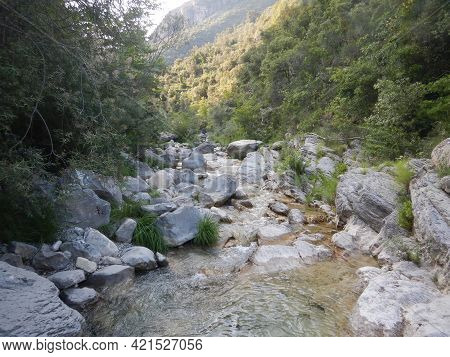 Rio Barbaira Stream, Rocchetta Nervina, Liguria - Italy