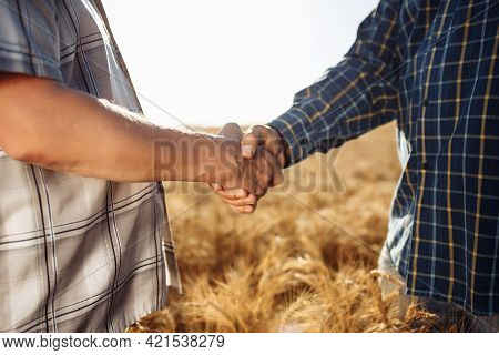 Farmers Handshake With Wheat Field In Harvest Time On Background. Two Men Stand In The Middle Of The
