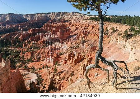Bryce Canyon