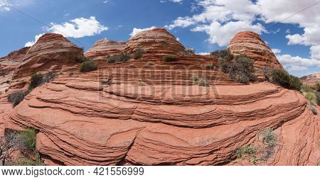 Vivid sandstone formation in Coyote Buttes North. These formations could be seen in Paria Canyon-Vermilion Cliffs Wilderness between the towns of Kanab, Utah and Page, Arizona. USA. Panorama