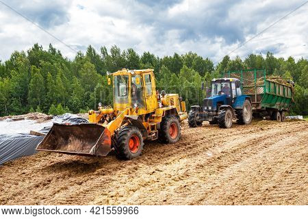 Agricultural Machinery For Harvesting Silage. A Bulldozer And A Tractor Compact The Cut Grass In A S