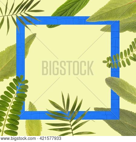Beautiful plant leaves frame copy space background. Botanic layout with empty space on yellow backdrop