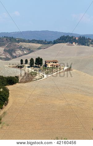 Senesi เกาะครีต
