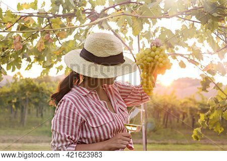 Young Woman With A Glass Of White Wine In The Vineyards Of Italy. Person With A Hat In The Rays Of T