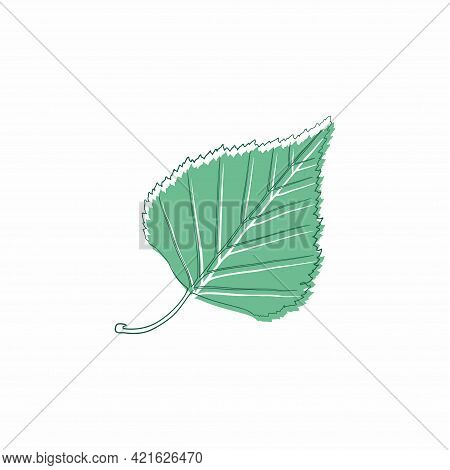 Graceful Green Leaves. Flat Twig. Vector Isolated Element. Garden Plant. Icon. Summer Or Spring Desi